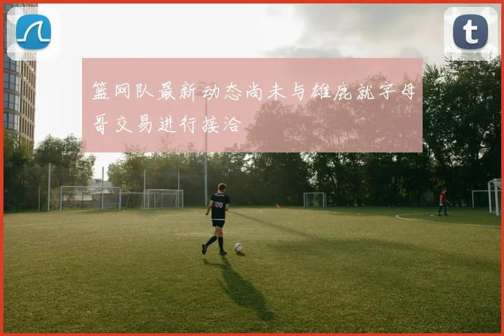 篮网队最新动态尚未与雄鹿就字母哥交易进行接洽